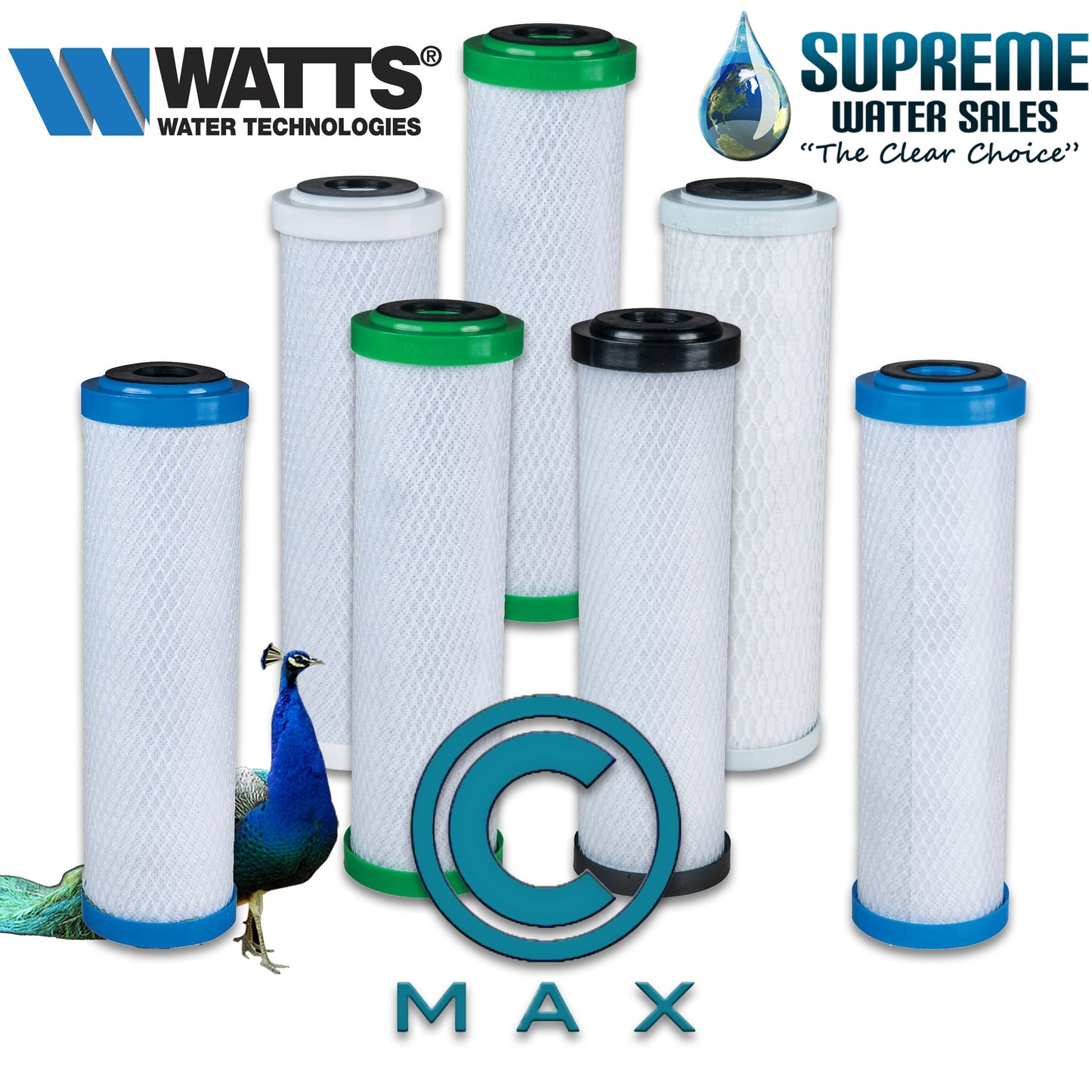 Watts C-Max MAXPB-975 - Carbon Block Filter with Lead Reduction - 2-5/8 x 9-7/8