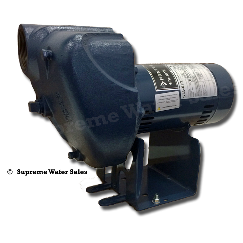 StaRite DS3HE-01 - DS3 Series Pro-Storm Centrifugal Pump - 1.0 HP