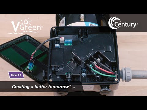 NEW! Century Electric VGREEN EVO - EVQ165 - (Equivalent to ECM16SQU) Variable Speed Pool Pump Motor - 48Y Frame - Square Flange - 1.65 HP - 115/230 Volt