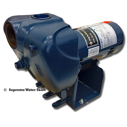 StaRite DS3HE-01 - DS3 Series Pro-Storm Centrifugal Pump - 1.0 HP