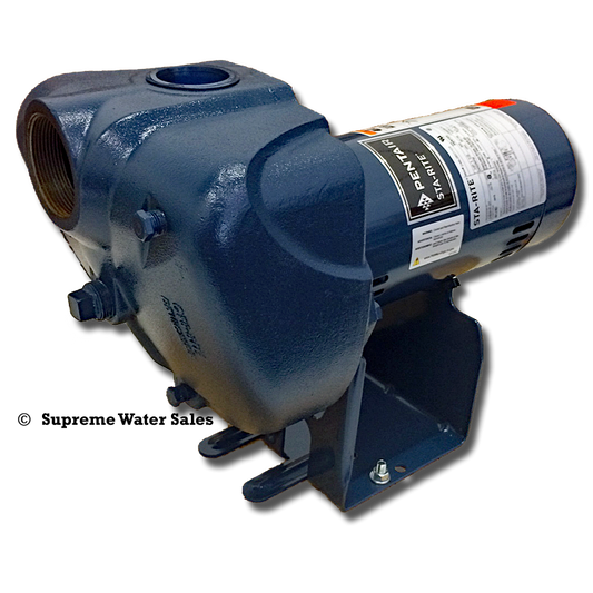 StaRite DS3HF-01 - DS3 Series Pro-Storm Centrifugal Pump - 1.5 HP