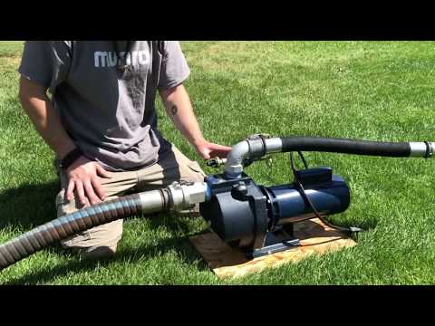 Munro Freeze Defeat - Antifreeze for your pump - nontoxic