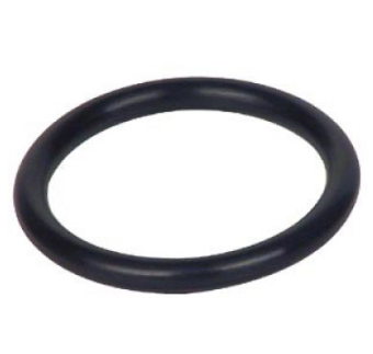 Watts SmartStream Replacement Lid O-Ring ( HSFSUVOR )