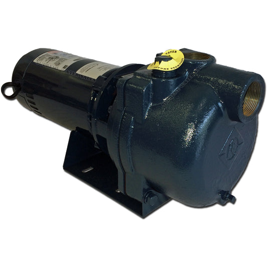 Franklin Electric FTB2CI Turf Boss - Centrifugal Irrigation Pump - 2.0 HP